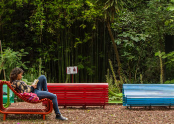 Audiorama: Música en contacto con la naturaleza y un buen libro