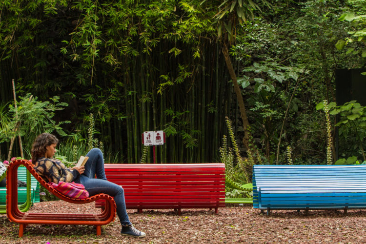 Audiorama: Música en contacto con la naturaleza y un buen libro