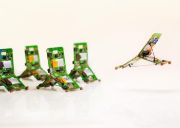 Suiza crea hormigas robóticas capaces de trabajar en colonia