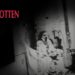 “Begotten”: La cinta perturbadora engendrada por Merhige a partir del Génesis.